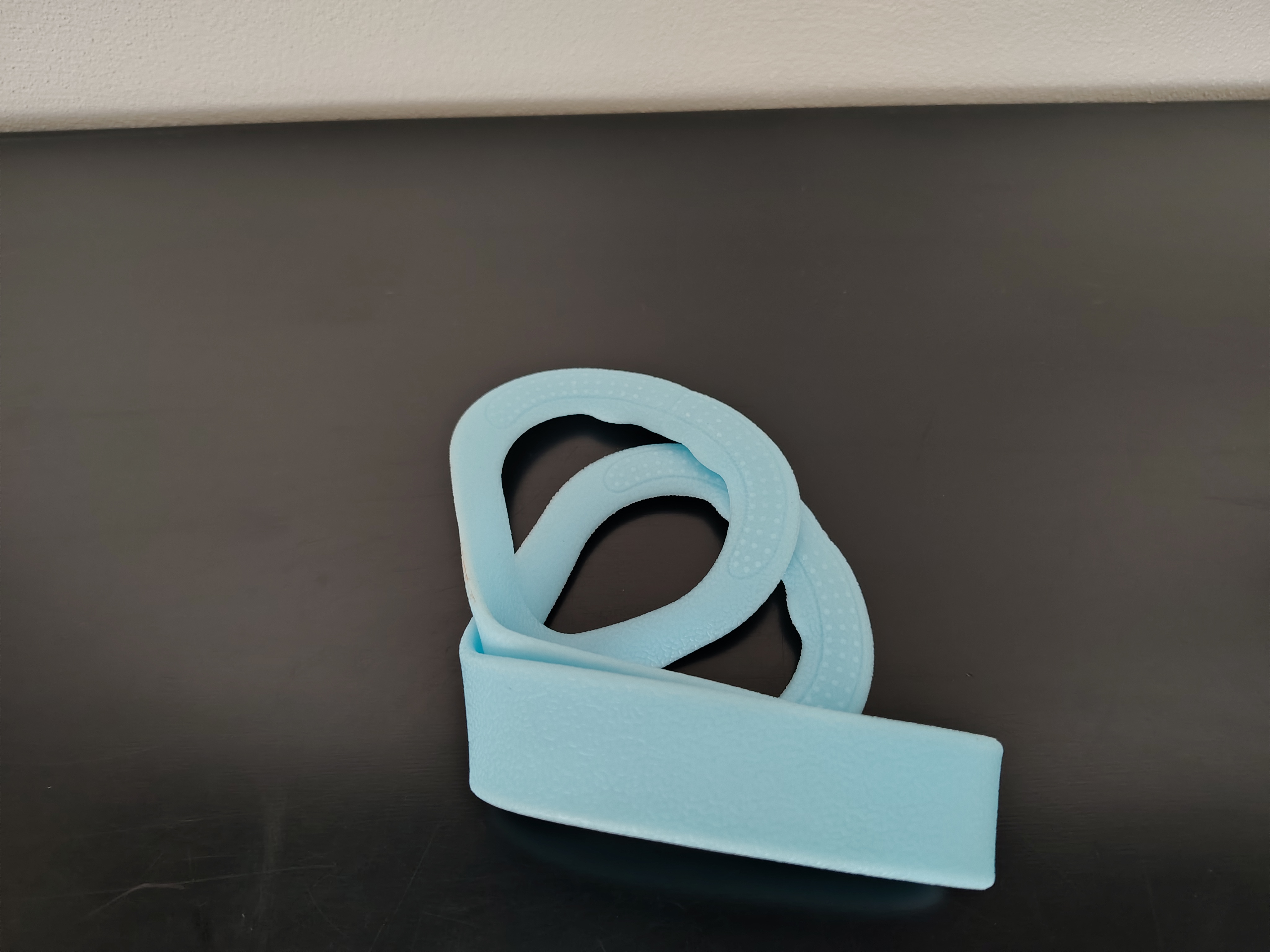 Fascia elastica